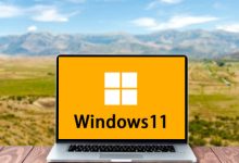 【不忘初心】Windows11 24H2（26100.8973）X64 纯净[深度精简版][1.66G](2026.7.30)